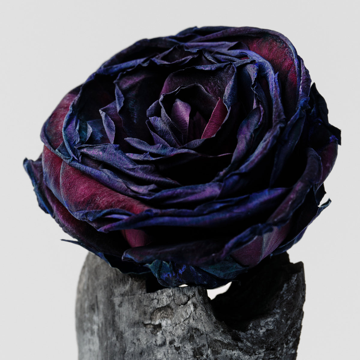 Body Mist – Black Rose & Oud