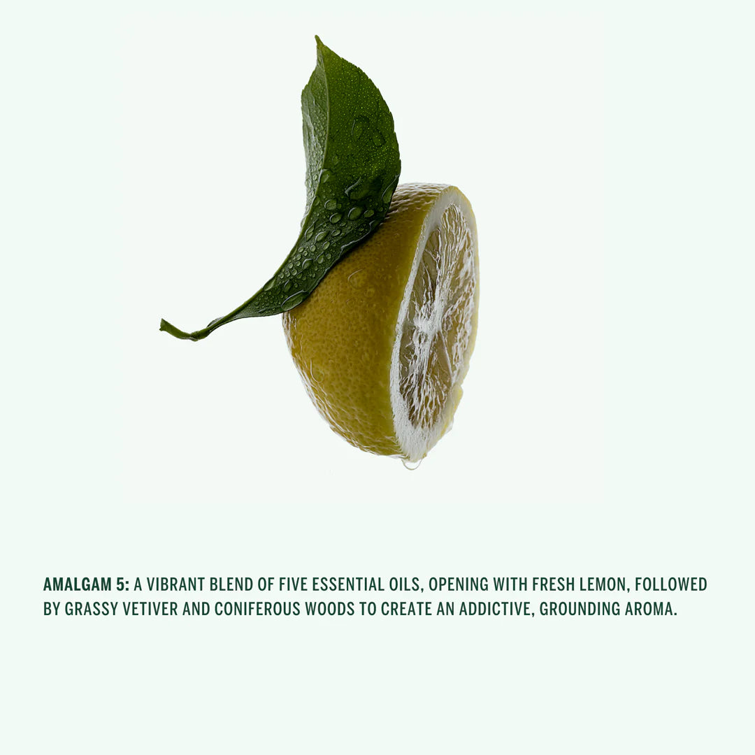 Corpus Amalgam 5 ingredient