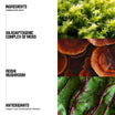 Grown Alchemist Tomorrowland hand + Body ingredients