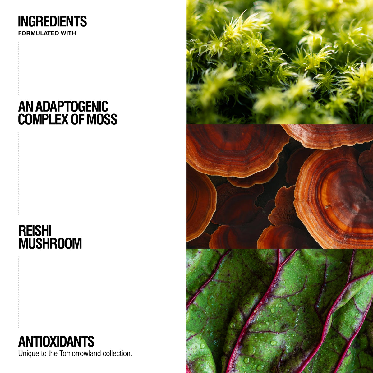 Grown Alchemist Tomorrowland hand + Body ingredients