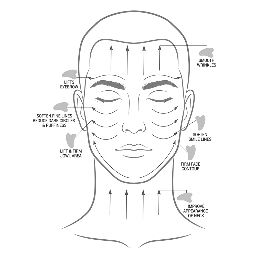 The Alpha Men The Alpha Men - Gua Sha