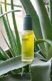 Botanische Olie